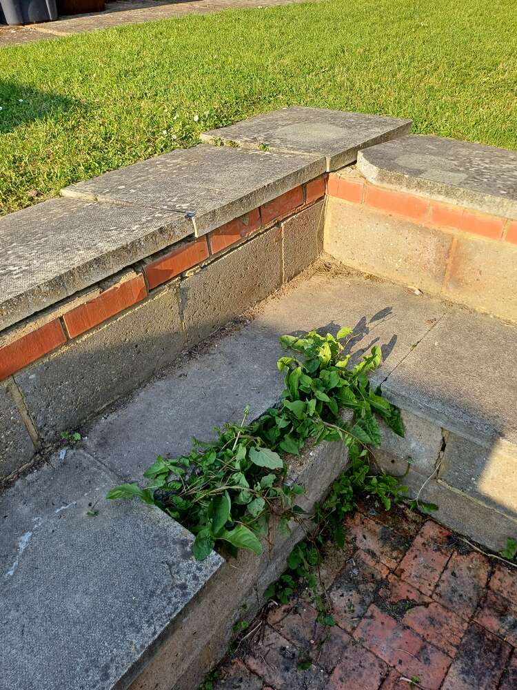 Wateringbury Scout and Guide Headquarters Working Party